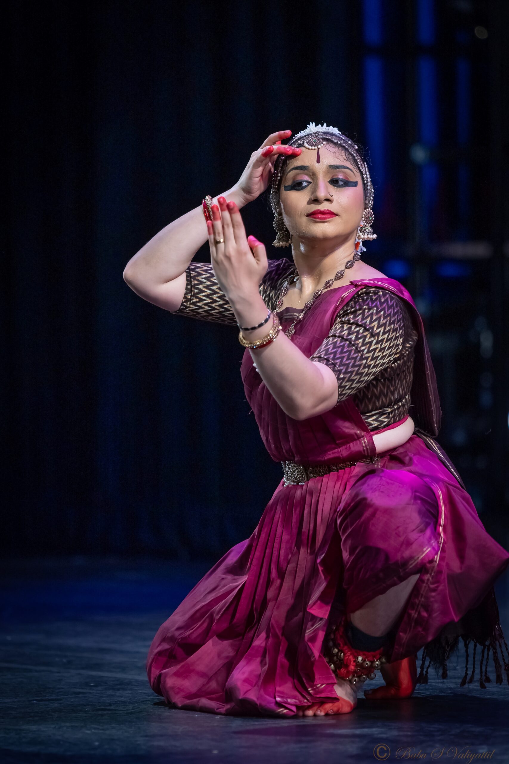 BSV-DSC_1970 (1) – Anugraha Raman